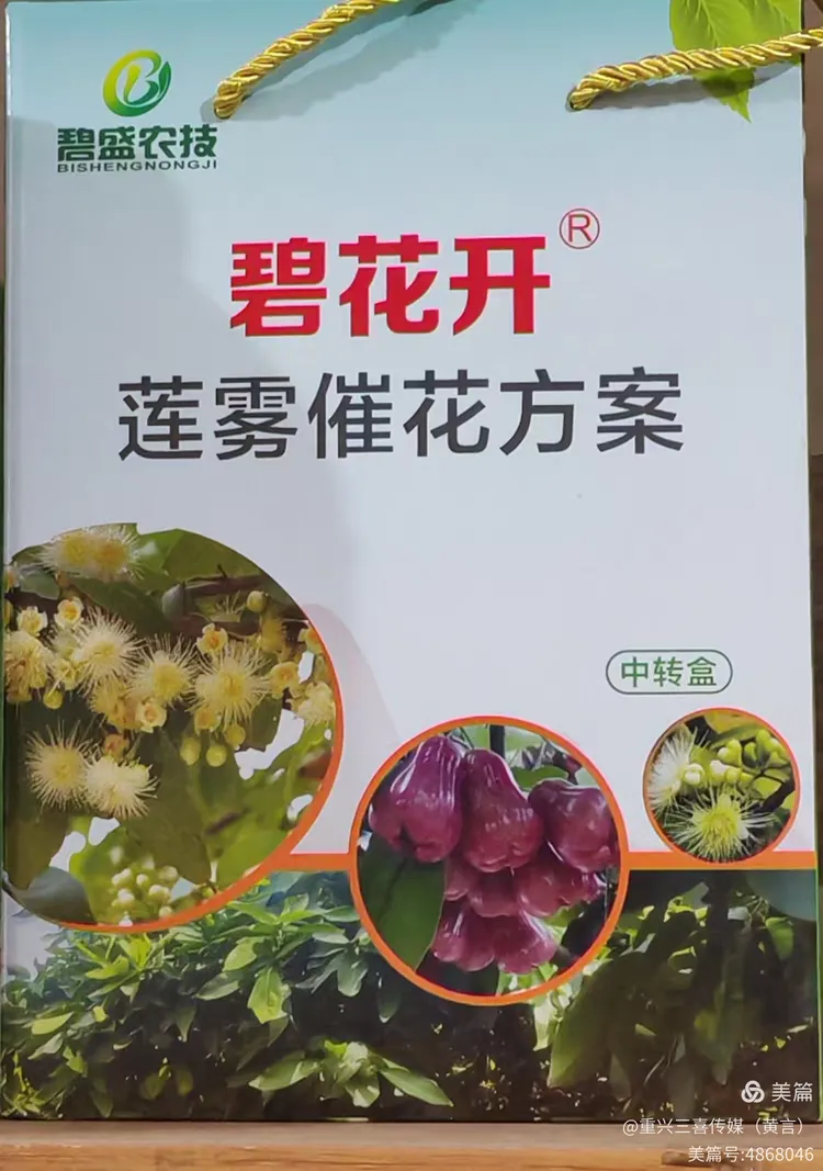 莲雾的催花保果技术